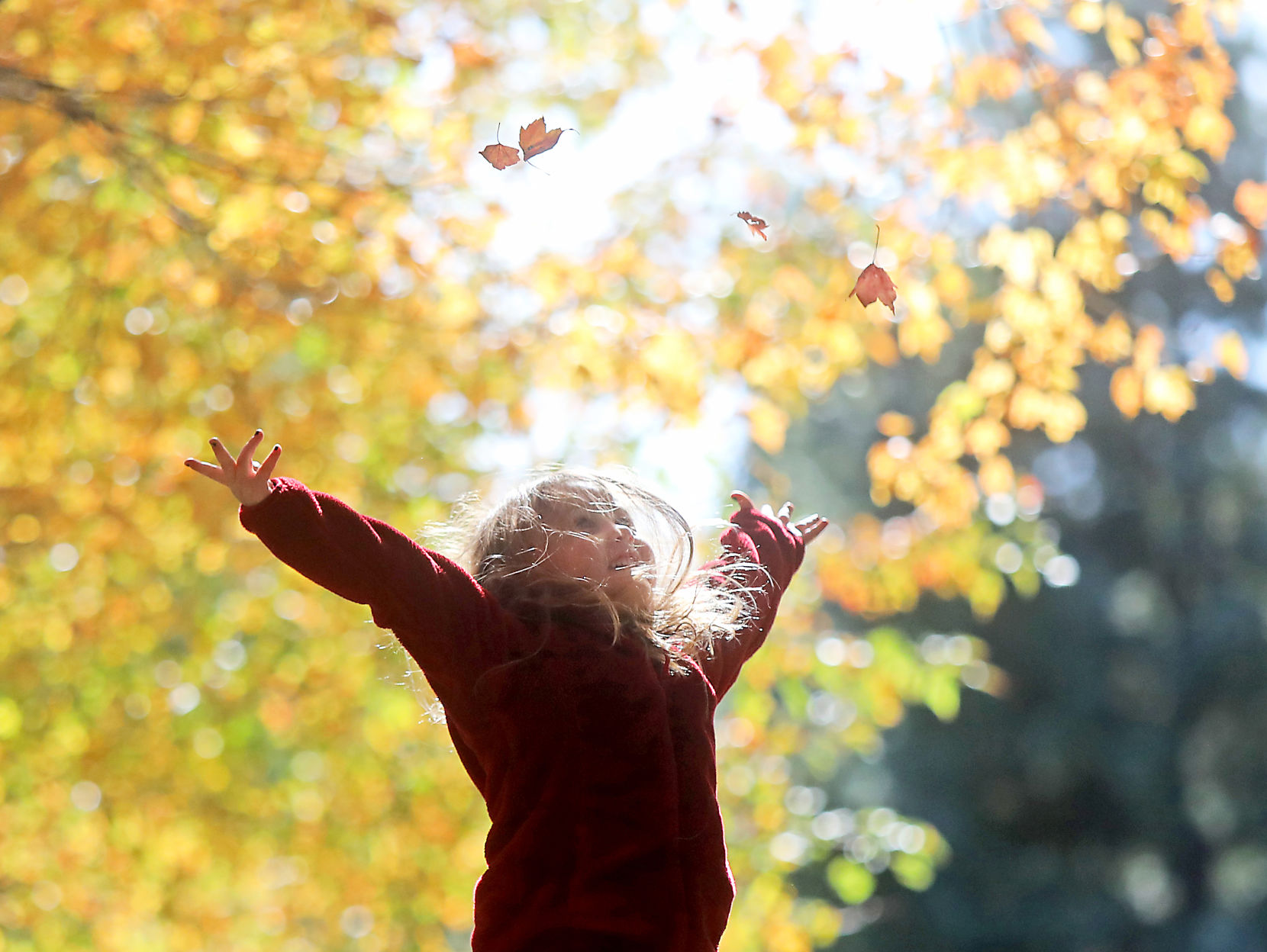 10/15/2019: Fall Frolic